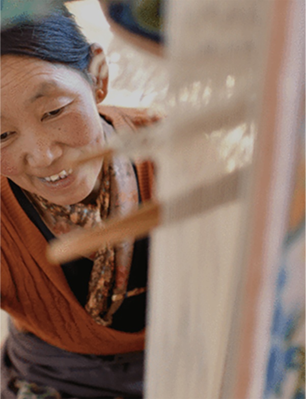 数字赋能巾帼 &middot; 助力产业发展