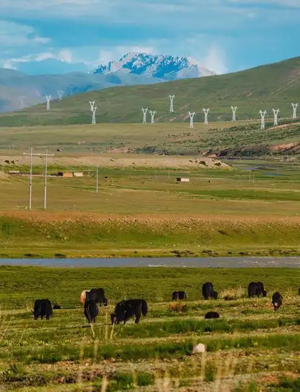 拉萨冲赛康：百年集市的电商活力