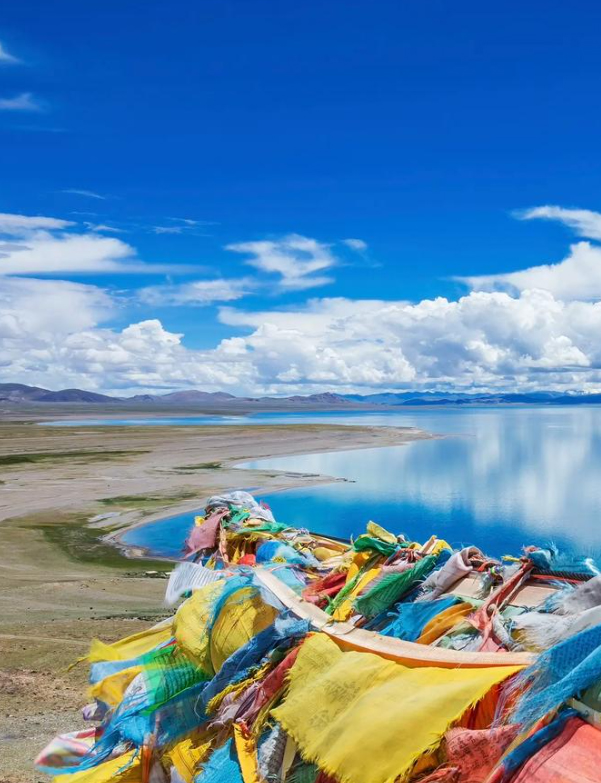 西藏诺桑集团官方合作与招商常见问题解答